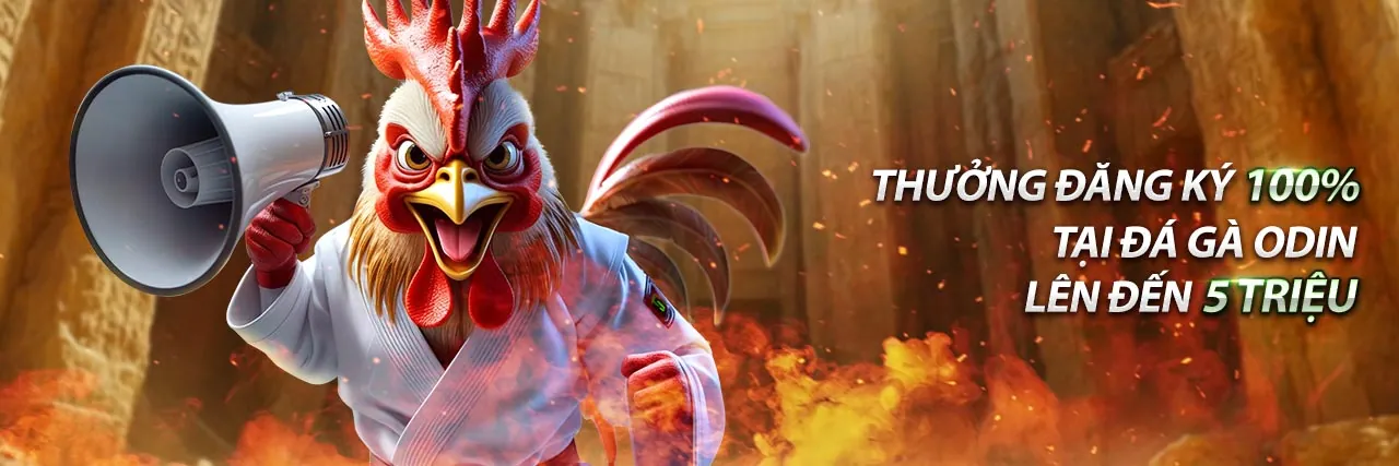 Hình ảnh đội ngũ hỗ trợ khách hàng chuyên nghiệp của w55